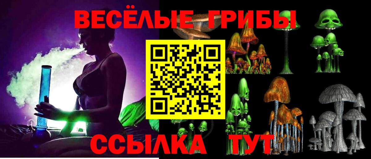 Псилоцибиновые грибы мицелий  Жуковский  Псилоцибиновые грибы прущие грибы 