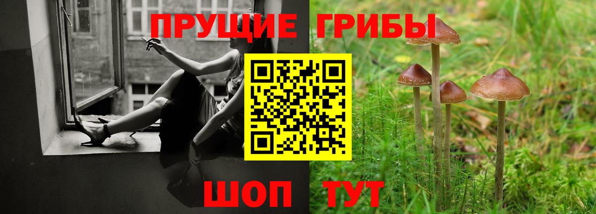 Галлюциногенные грибы MAGIC MUSHROOMS  Вход с VPN  Жуковский 
