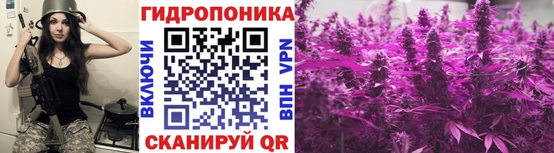 Бошки марихуана марихуана  Жуковский 